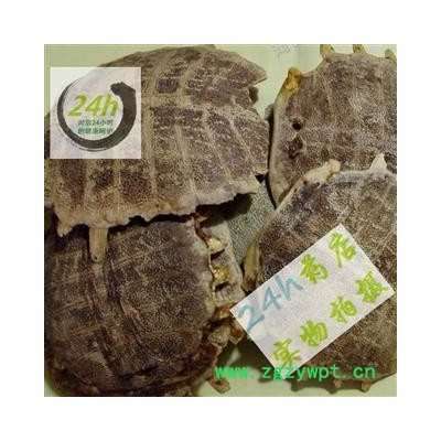 四海商联 鳖甲 正品 元鱼 批发花草茶 中药材 矿石