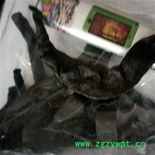 亳州花田错药业   水蛭 选    清水图3