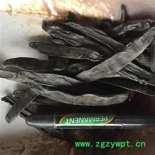 亳州花田错药业   水蛭 选    清水图2