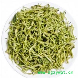 金银花 统 产地 河北省保定市安国市图3