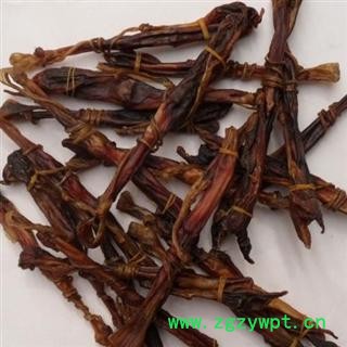 狗鞭 选 产地 陕西省图2