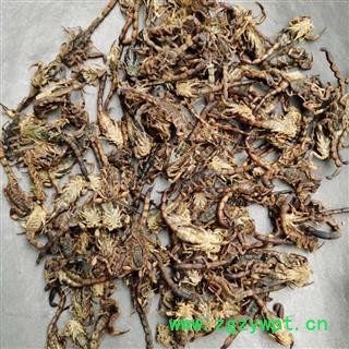 海南全虫全蝎盐水货颜色偏黑9成干质量一般完整度高抓药用蝎子专注品质图2