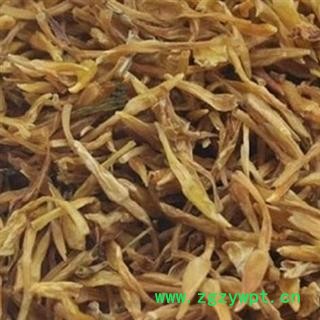 中药材素馨花素英、大花茉莉、四季茉莉 产地广东 品种齐全 安国市场批发零售大全图2