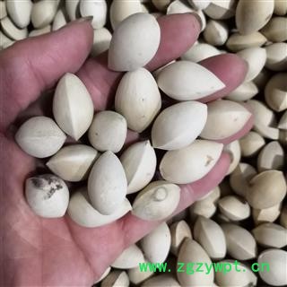 新辉药业中药材白果 生白果 银杏果 白果仁图3