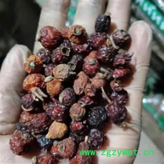 新辉药业中药材刺玫果 玫瑰果图2