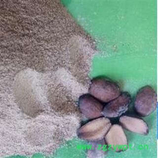 新辉药业枇杷核 枇杷子 另有枇杷花 枇杷叶图2