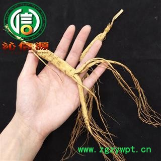 【满包邮】山参3年小参吉林产地直供林下参 野山参沁信源中药材批发图3