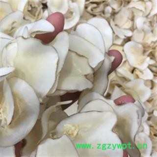 新辉药业精选海底椰 椰奶香浓 无硫干货图3