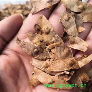 新辉药业中药材凤眼草  凤眼子图2