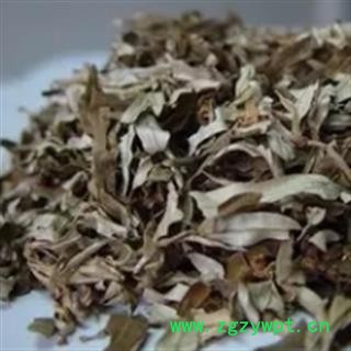 新辉药业中药材沙棘  沙棘叶  沙棘果图2