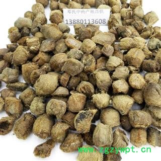 桑螵蛸 精选 产地 四川省成都市金堂县 邓氏图4