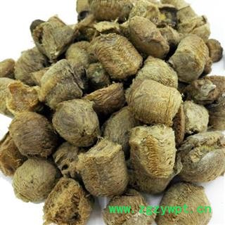 桑螵蛸 精选 产地 四川省成都市金堂县 邓氏图2