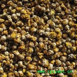 灵吉药业  野菊花    批发各类规格中药材 花茶 矿石图3