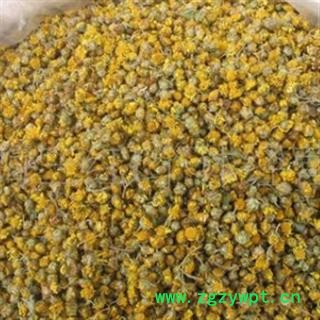 灵吉药业  野菊花    批发各类规格中药材 花茶 矿石图2