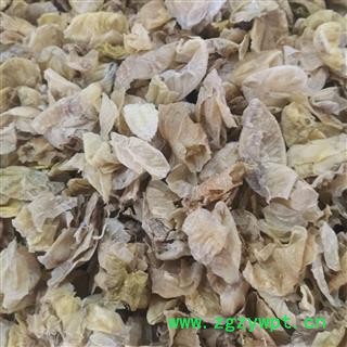 鸡内金 山东生鸡内金统货 产地 山东省图4