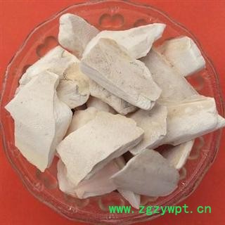 海螵蛸 海螵蛸小选货 产地 福建省图2