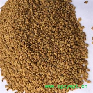 新辉药业葫芦巴  苦豆 香草 香豆 芸香图2