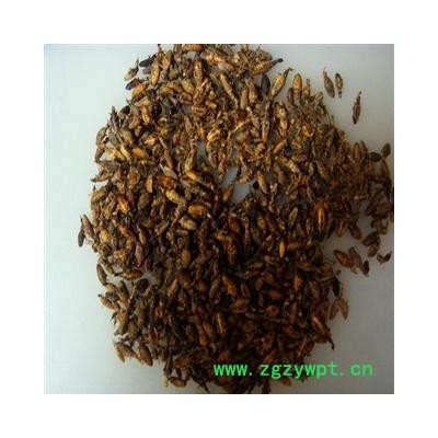 产地直销   清水金沙牛