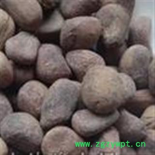 新辉药业正品大风子  麻风子图2