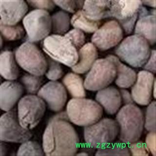 新辉药业正品大风子  麻风子图3