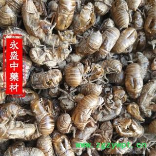 蝉蜕 蝉蜕统货产地直销 产地 河南省南阳市图3