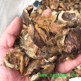 新辉药业中药材大腹皮  大腹毛图2