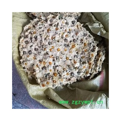 福白菊 杭菊 饼菊 朵菊白菊花 选货一级 产地晒干无硫 湖北省黄冈市麻城市