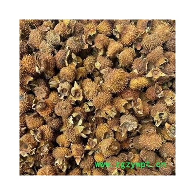 新辉药业刺梨新货无硫  另有刺梨根