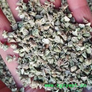 新辉药业优质蒺藜 正品新货图2