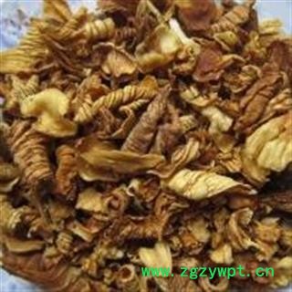 鸡内金 ,炒鸡内金,黄色统货 产地 河南省图2