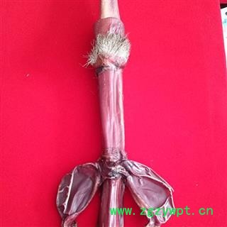 鹿鞭 长白山梅花鹿鞭，产地直销，纯正品，假一赔十图2