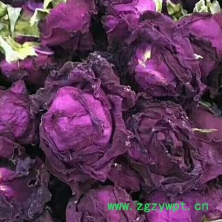 玫瑰花 金边玫瑰头茬花图4