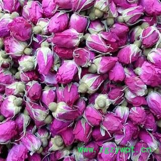 玫瑰花 金边玫瑰头茬花图3