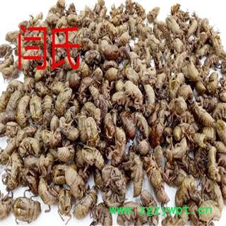 蝉蜕 蝉蜕统货 产地 四川省德阳市罗江县图3