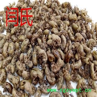 蝉蜕 蝉蜕统货 产地 四川省德阳市罗江县图4