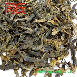 壁虎 完整个子 通货图4