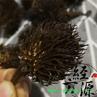 紫锥菊花头A 花头 松果菊 紫锥花图3