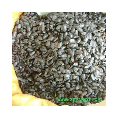 2017年新货小九香虫产地直销，库村500可售