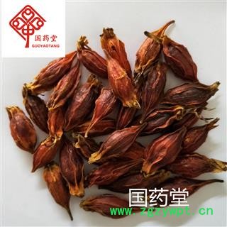 水栀子 大栀子 大选货 颜色鲜红 国药堂 专注品质 产地 广西壮族自治区图4