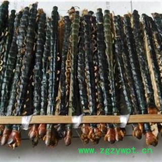 京辉药业 蜈蚣 正品 15 16厘米 促销图2