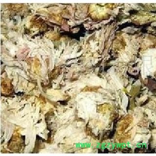 煜庭药业 菊花 祁菊图4