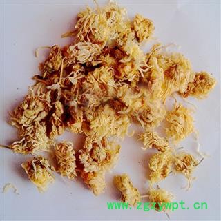 煜庭药业 菊花 祁菊图3