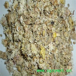 煜庭药业 菊花 祁菊图2