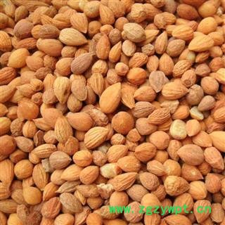 郁李仁 郁李仁统货 产地 内蒙古自治区 国药堂 专注品质图2