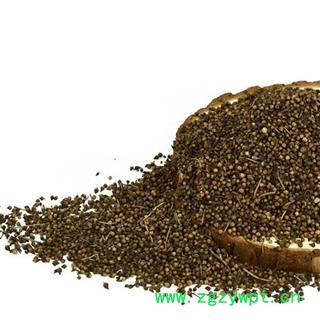 煜庭药业 水翁花图3