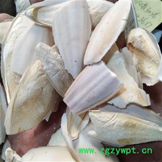 海螵蛸 海螵蛸小选货 产地 广西壮族自治区图4