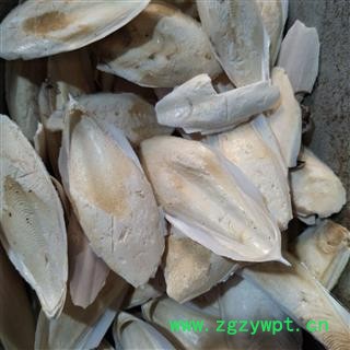 海螵蛸 海螵蛸小选货 产地 广西壮族自治区图2