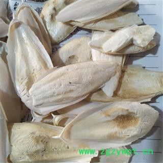 海螵蛸 海螵蛸小选货 产地 广西壮族自治区图3