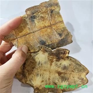 龟板 本店新到炒龟板好货无杂质实物拍摄 产地 湖北省图3