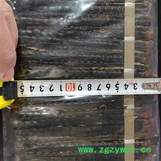 蜈蚣 蜈蚣大条精选货15-16cm 产地 湖北省图3